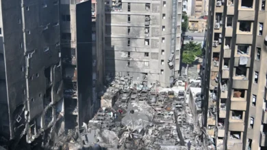 Whatsappimage20260409at105756 Large