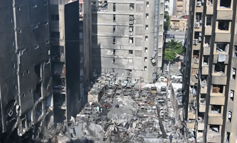 Whatsappimage20260409at105756 Large