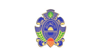 الأمنالعام