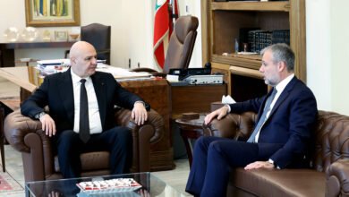 عمادمارتينوسجوزافعون