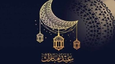 Aayd Aladh