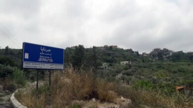 Grnaya