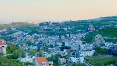 Ferzol View2