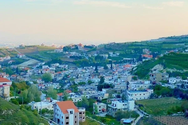 Ferzol View2