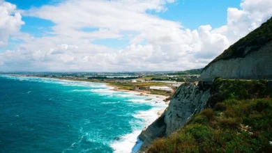 Hl Site Paradise 1024x576