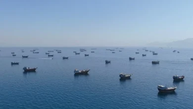 Hormuz2006 Auto Orient I