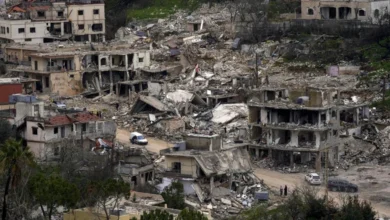 Odeissah Village Lebanon Destruction1