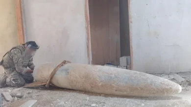 PNL05082026153211