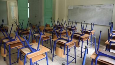 School82