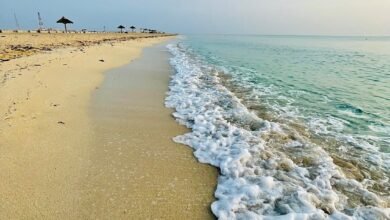 Very Clean Beach And