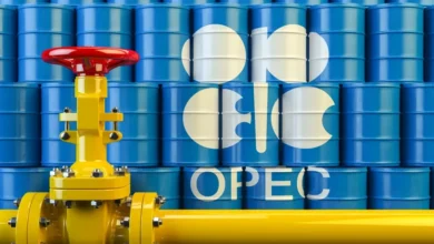 OPECs Roadmap To Stabilization