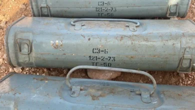 PNL01102026175501