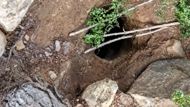 Rocky Excavationwitha Dark Hole